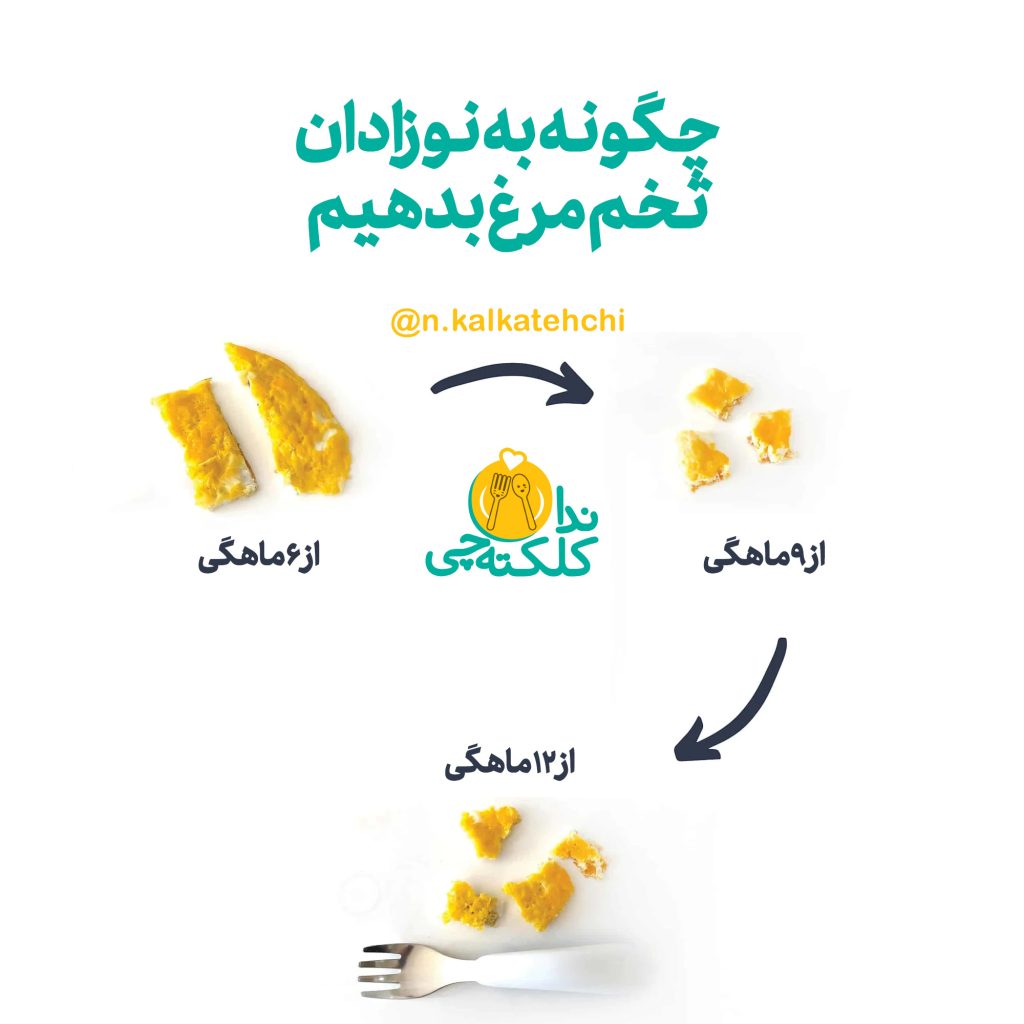 چگونه به نوزادان تخم مرغ بدهیم