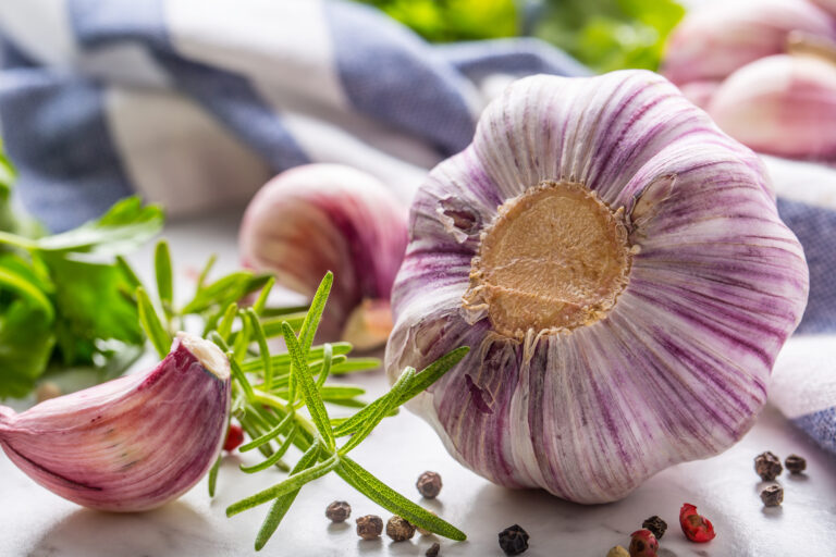 زمانی که نوزادها می‌توانند سیر بخورند؟